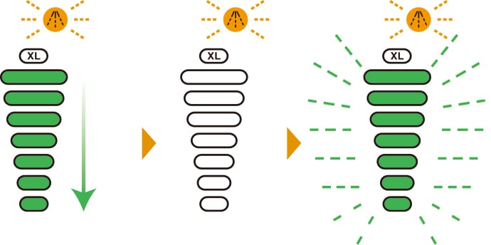 extract_button